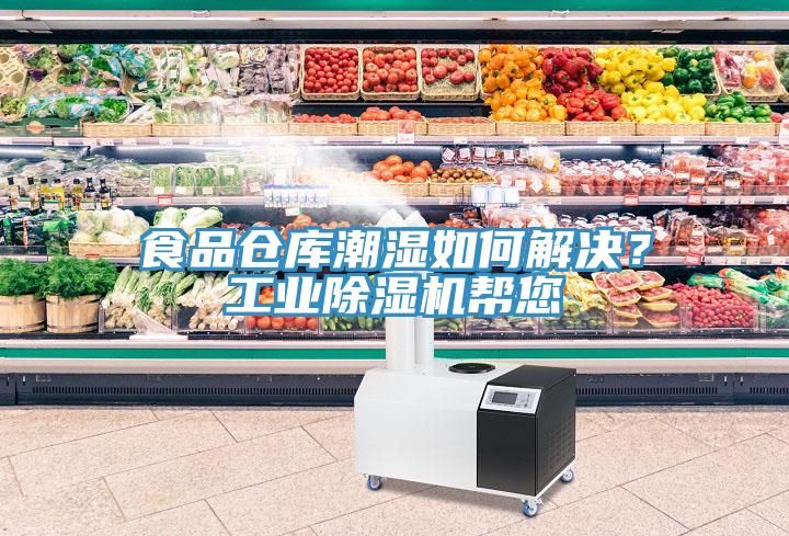 食品倉庫潮濕如何解決？工業(yè)除濕機(jī)幫您