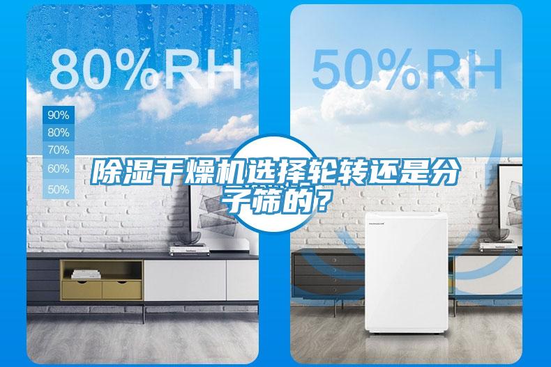 除濕干燥機(jī)選擇輪轉(zhuǎn)還是分子篩的？