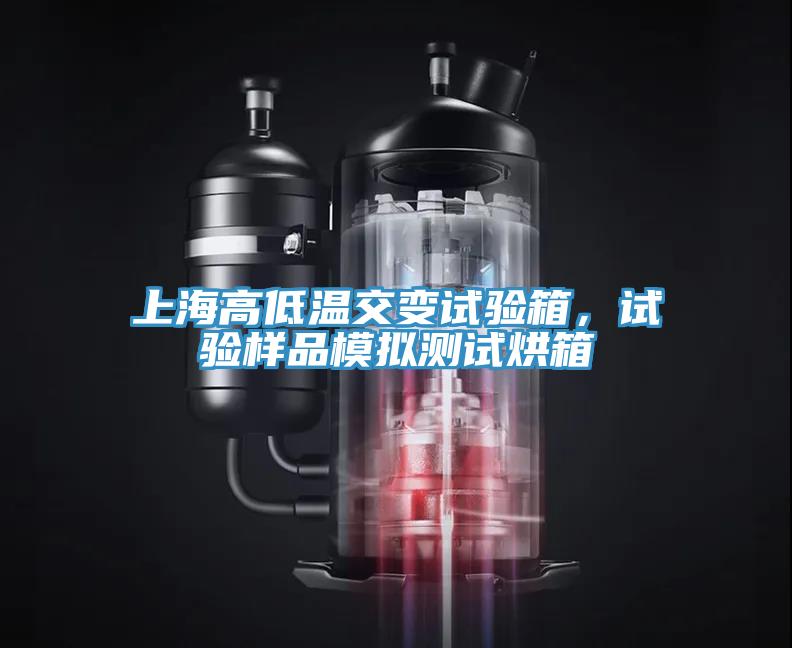 上海高低溫交變?cè)囼?yàn)箱，試驗(yàn)樣品模擬測試烘箱