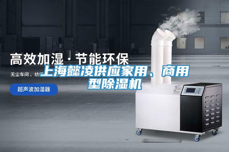 上海懿凌供應(yīng)家用、商用型除濕機(jī)
