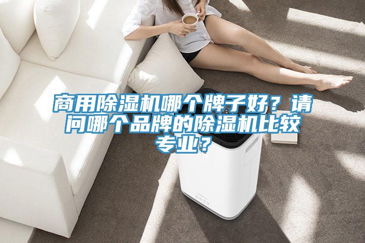 商用除濕機(jī)哪個(gè)牌子好？請(qǐng)問哪個(gè)品牌的除濕機(jī)比較專業(yè)？