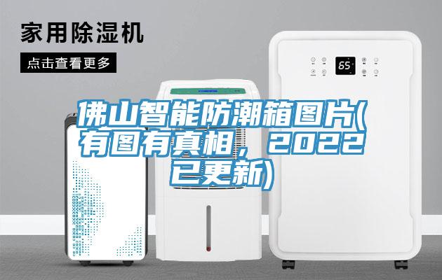 佛山智能防潮箱圖片(有圖有真相，2022已更新)