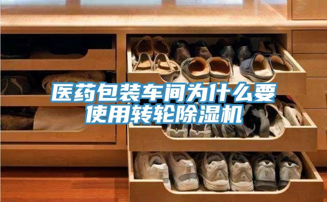 醫(yī)藥包裝車間為什么要使用轉(zhuǎn)輪除濕機