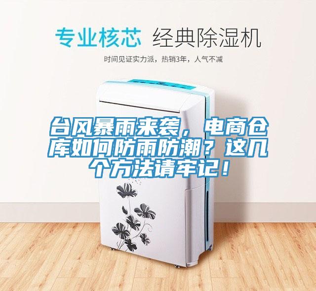 臺(tái)風(fēng)暴雨來(lái)襲，電商倉(cāng)庫(kù)如何防雨防潮？這幾個(gè)方法請(qǐng)牢記！