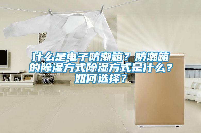 什么是電子防潮箱？防潮箱的除濕方式除濕方式是什么？如何選擇？