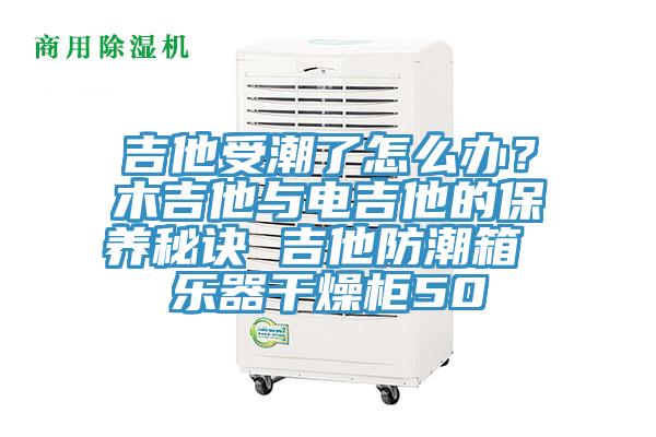 吉他受潮了怎么辦？木吉他與電吉他的保養秘訣 吉他防潮箱 樂器干燥柜50