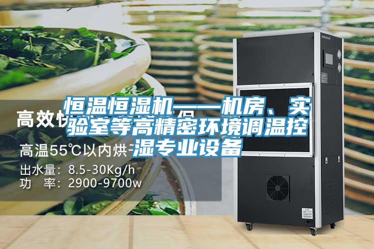 恒溫恒濕機——機房、實驗室等高精密環(huán)境調溫控濕專業(yè)設備