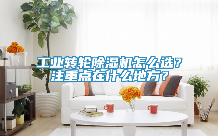 工業(yè)轉(zhuǎn)輪除濕機(jī)怎么選？注重點(diǎn)在什么地方？
