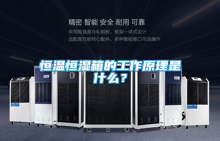 恒溫恒濕箱的工作原理是什么？