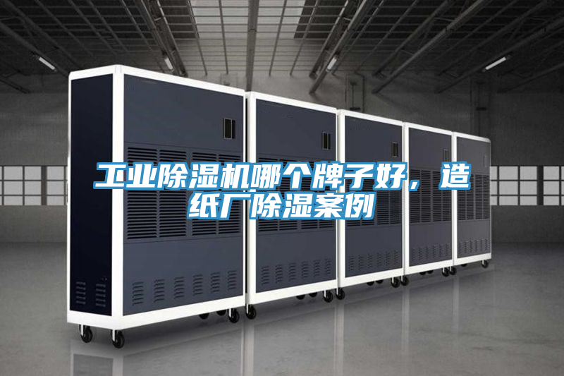 工業(yè)除濕機(jī)哪個牌子好，造紙廠除濕案例