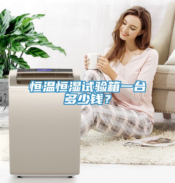 恒溫恒濕試驗箱一臺多少錢？