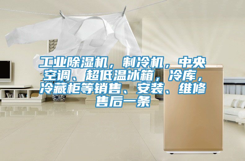 工業(yè)除濕機(jī)，制冷機(jī)，中央空調(diào)、超低溫冰箱，冷庫(kù)，冷藏柜等銷售、安裝、維修售后一條