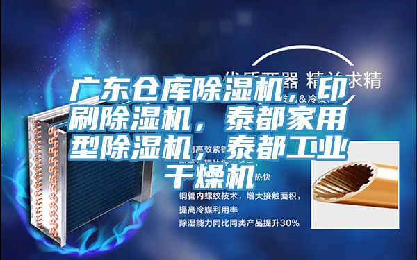 廣東倉庫除濕機，印刷除濕機，泰都家用型除濕機，泰都工業干燥機