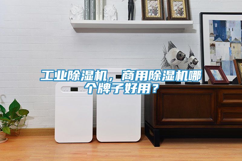 工業(yè)除濕機(jī)，商用除濕機(jī)哪個(gè)牌子好用？