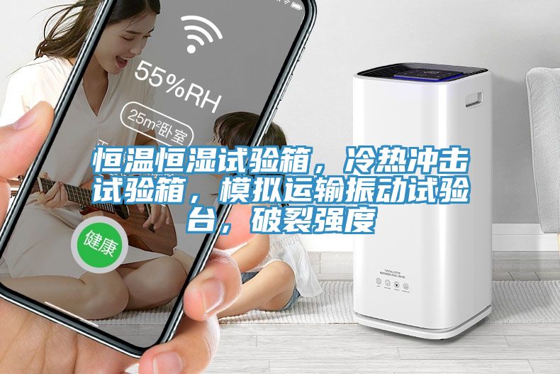 恒溫恒濕試驗箱，冷熱沖擊試驗箱，模擬運輸振動試驗臺，破裂強度