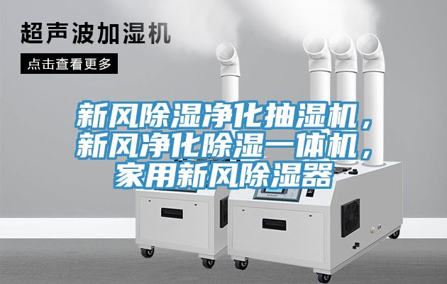 新風除濕凈化抽濕機，新風凈化除濕一體機，家用新風除濕器
