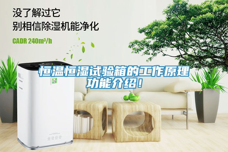 恒溫恒濕試驗(yàn)箱的工作原理功能介紹！