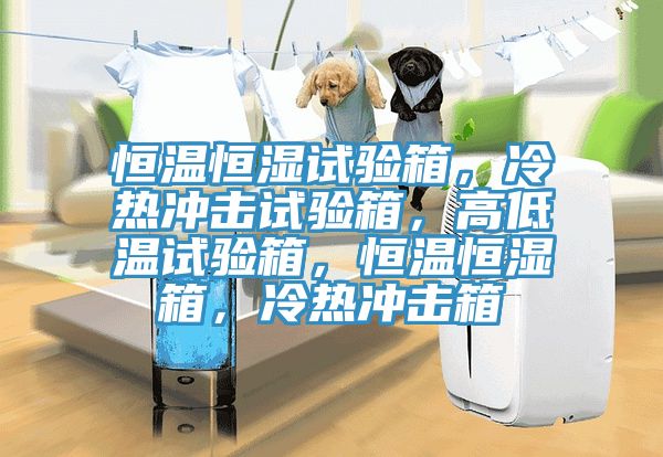 恒溫恒濕試驗箱，冷熱沖擊試驗箱，高低溫試驗箱，恒溫恒濕箱，冷熱沖擊箱