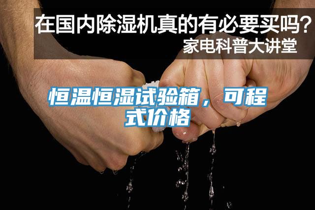 恒溫恒濕試驗箱，可程式價格