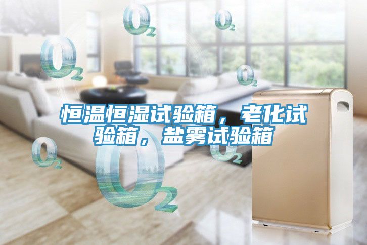 恒溫恒濕試驗箱，老化試驗箱，鹽霧試驗箱