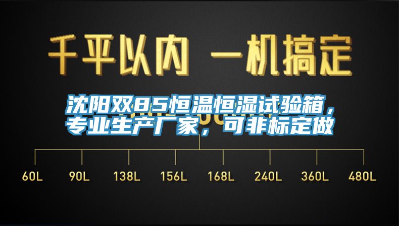 沈陽雙85恒溫恒濕試驗箱，專業(yè)生產(chǎn)廠家，可非標定做