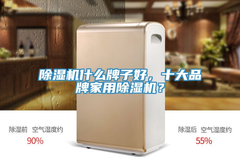 除濕機什么牌子好，十大品牌家用除濕機？
