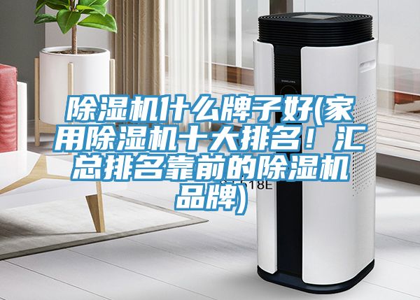 除濕機什么牌子好(家用除濕機十大排名！匯總排名靠前的除濕機品牌)