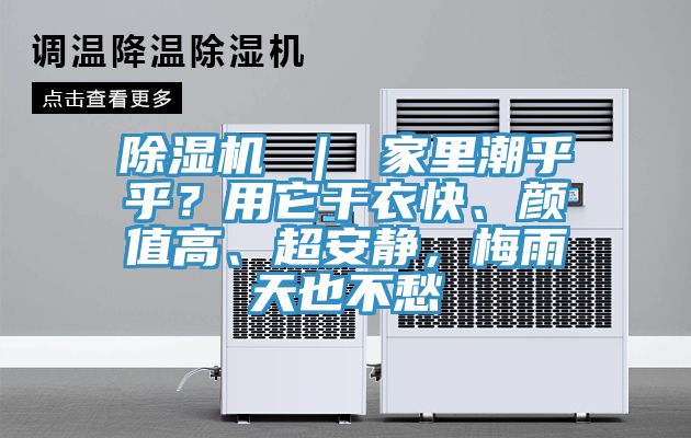 除濕機(jī) ｜ 家里潮乎乎？用它干衣快、顏值高、超安靜，梅雨天也不愁