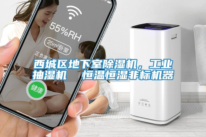西城區(qū)地下室除濕機，工業(yè)抽濕機  恒溫恒濕非標機器