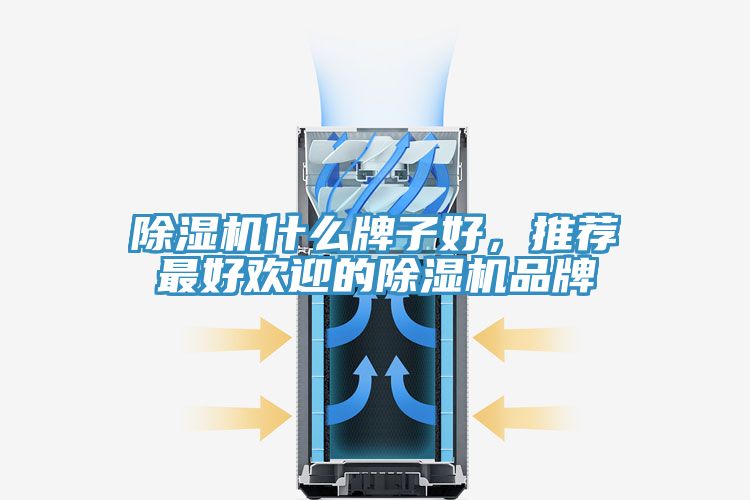 除濕機什么牌子好，推薦最好歡迎的除濕機品牌