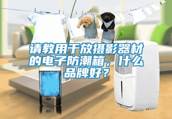 請教用于放攝影器材的電子防潮箱，什么品牌好？