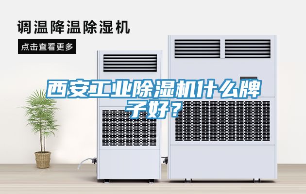 西安工業(yè)除濕機什么牌子好？