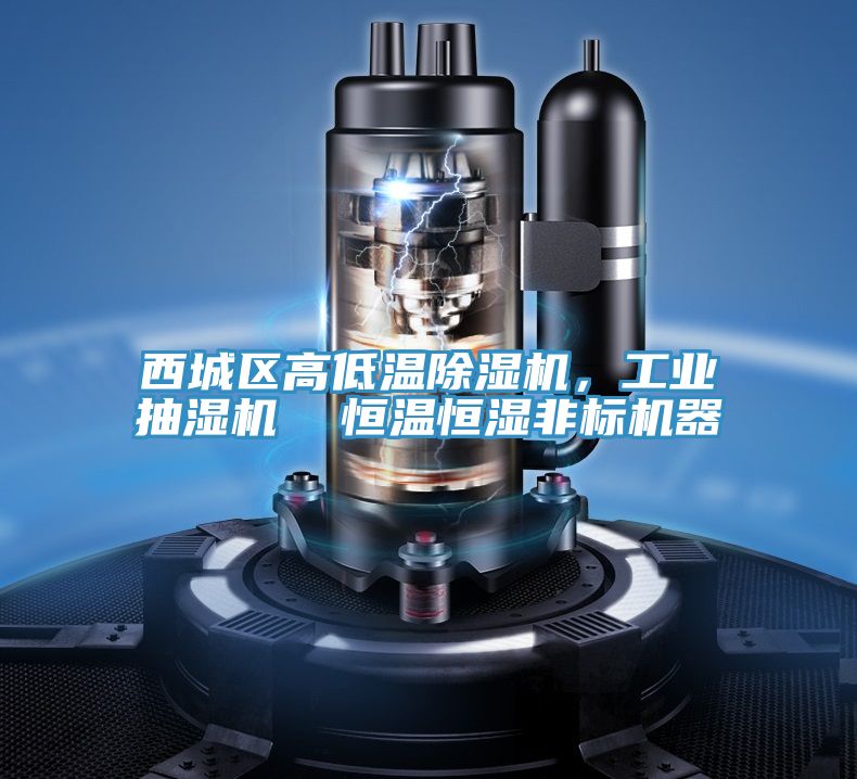 西城區(qū)高低溫除濕機，工業(yè)抽濕機  恒溫恒濕非標機器