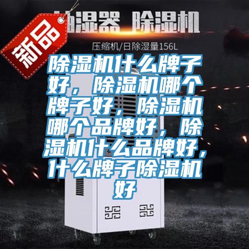 除濕機什么牌子好，除濕機哪個牌子好，除濕機哪個品牌好，除濕機什么品牌好，什么牌子除濕機好