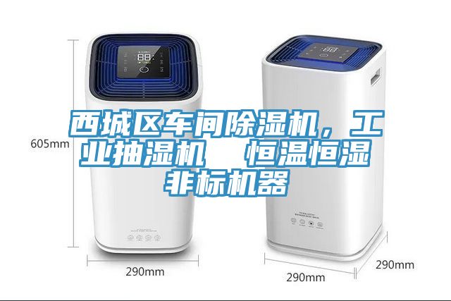 西城區(qū)車間除濕機，工業(yè)抽濕機  恒溫恒濕非標機器