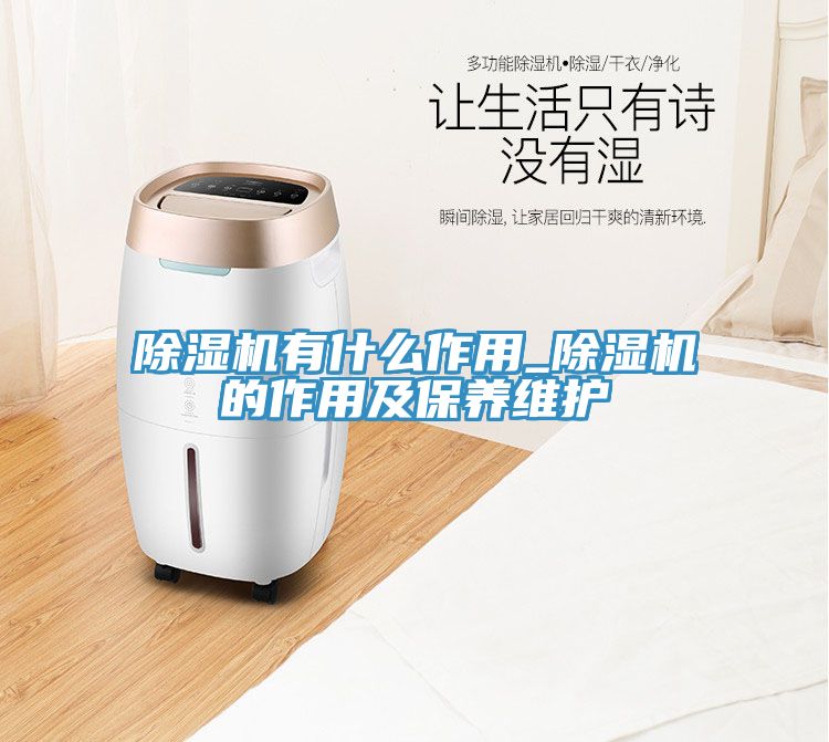 除濕機有什么作用_除濕機的作用及保養維護