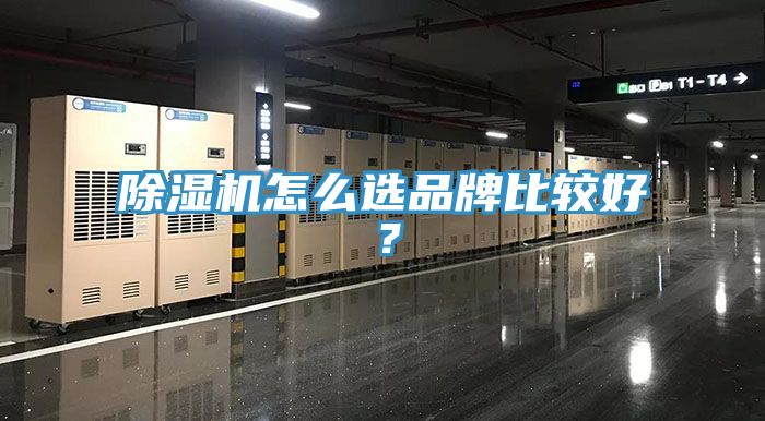 除濕機怎么選品牌比較好？