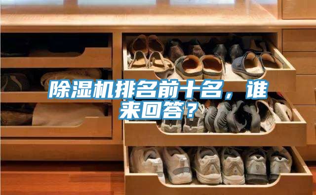 除濕機排名前十名，誰來回答？