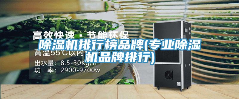 除濕機(jī)排行榜品牌(專(zhuān)業(yè)除濕機(jī)品牌排行)