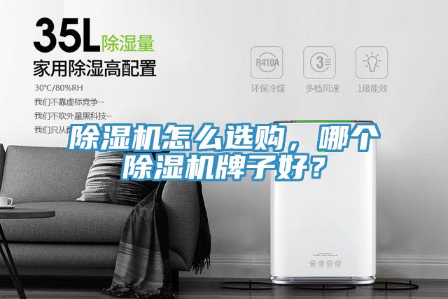 除濕機(jī)怎么選購(gòu)，哪個(gè)除濕機(jī)牌子好？