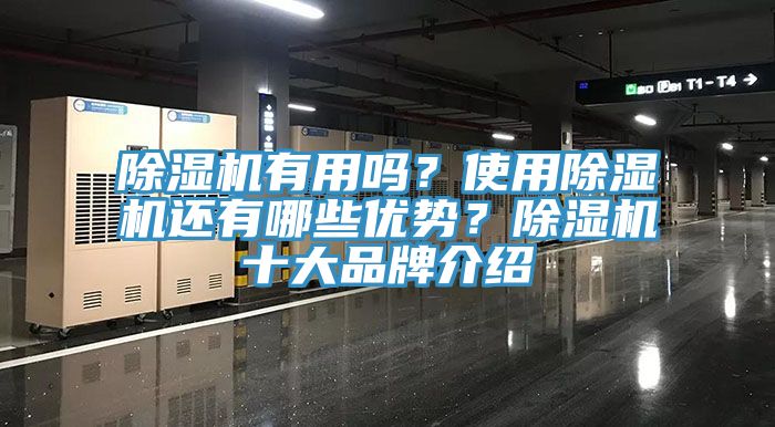 除濕機有用嗎？使用除濕機還有哪些優勢？除濕機十大品牌介紹