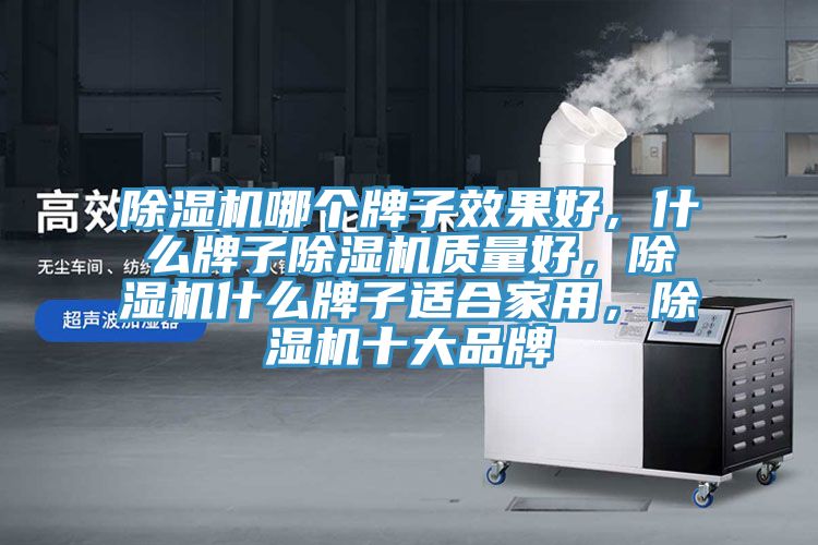 除濕機哪個牌子效果好，什么牌子除濕機質量好，除濕機什么牌子適合家用，除濕機十大品牌