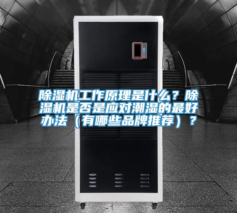 除濕機工作原理是什么？除濕機是否是應對潮濕的最好辦法（有哪些品牌推薦）？