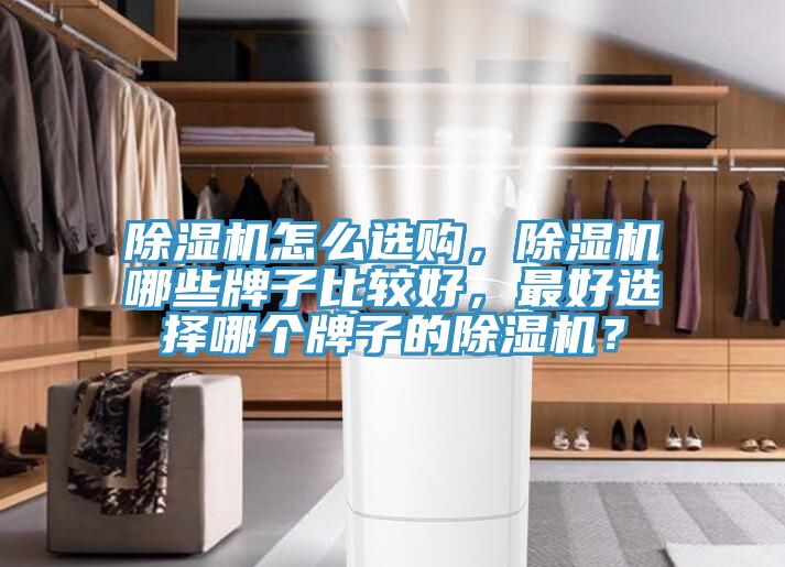 除濕機(jī)怎么選購(gòu)，除濕機(jī)哪些牌子比較好，最好選擇哪個(gè)牌子的除濕機(jī)？