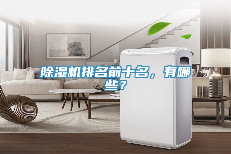 除濕機排名前十名，有哪些？