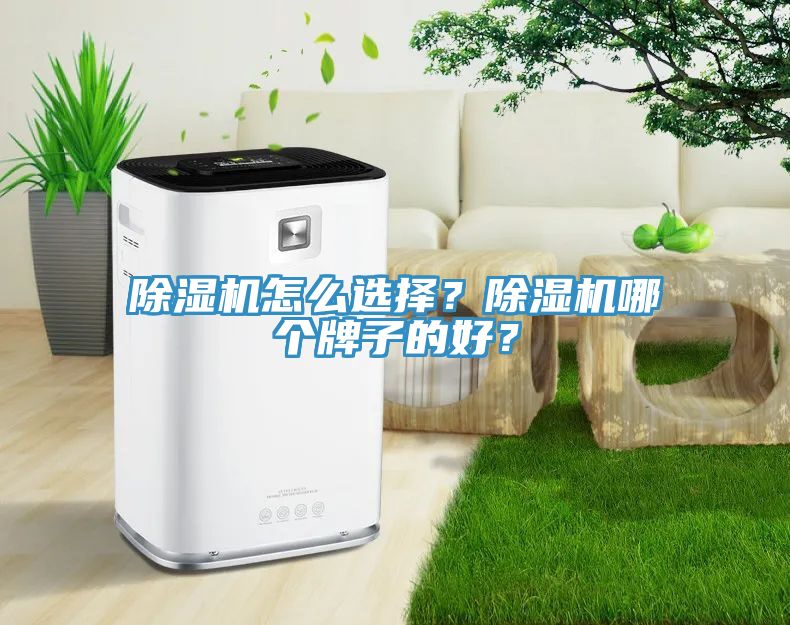 除濕機怎么選擇？除濕機哪個牌子的好？