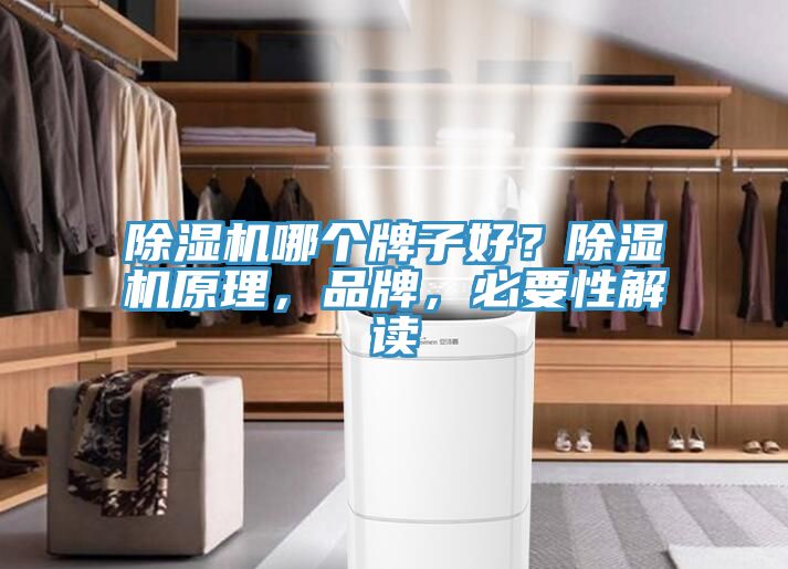 除濕機哪個牌子好？除濕機原理，品牌，必要性解讀